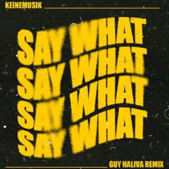 Keinemusik - Say What (Guy Haliva Remix)