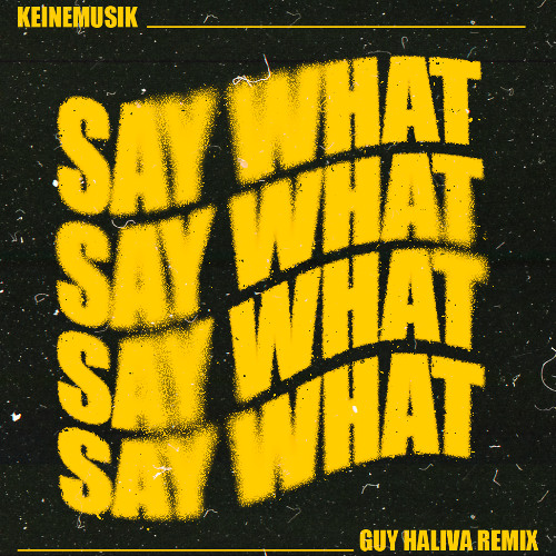 Keinemusik - Say What (Guy Haliva Remix)