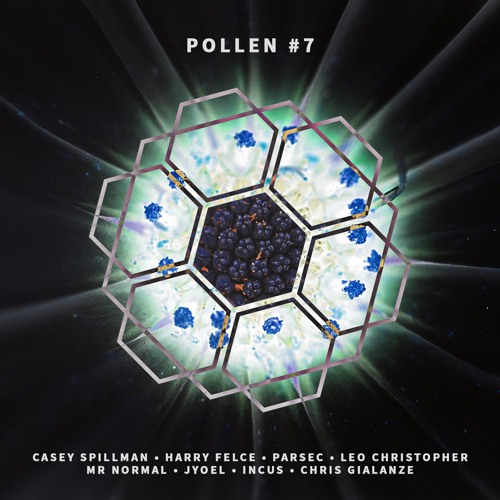 Incus - Storm Trooper (BEEYOU Records Pollen #7)