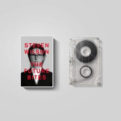 Steven Wilson - Personal Shopper (TNO remix)