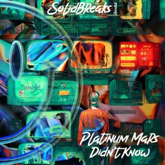 Platinum Mars - Didnt Know