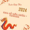 HOA CO MUA XUAN - BAND COVER [ YOUNGB Mixmash ] HAPPY NEW YEAR 2024