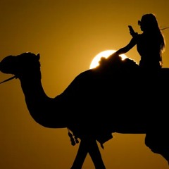 THE CAMEL TRIPPING METHOD