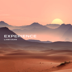 Experience