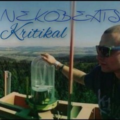 NEKOBEATS X SPACETRIP X PARANORMAL  X TYPE BEAT.mp3