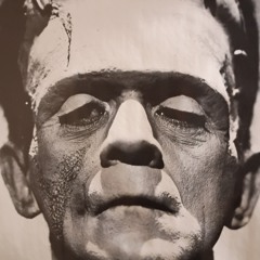 The vampire and the Walking Dead