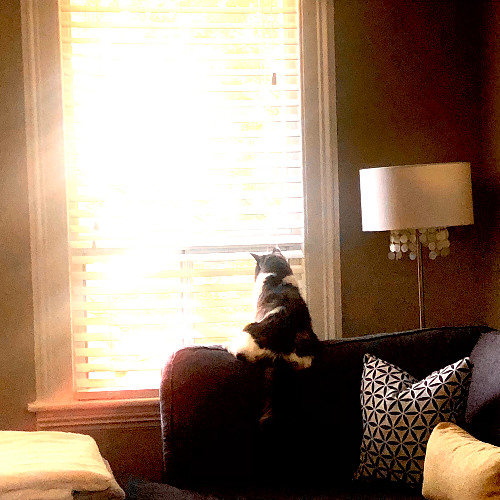 He was here | A Pensive Compilation