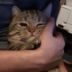 what if i was in luv wif u and u were in luv wif me and we kissed and we were in luv ahaha