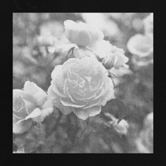 DARCDOT - Roses (feat. Insight)