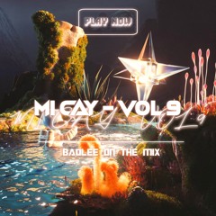 MÌ CAY - VOL 9 / BAOLEE MIX | Nếu Ta Ngược Lối, Phim Ba Người, Ân Tình Sang Trang, Cha Và Con Gái..