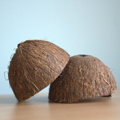 Horse_Hooves_Canter_B