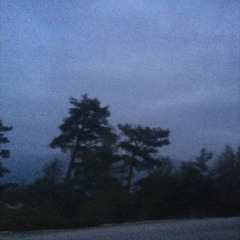 tell me that im wrong