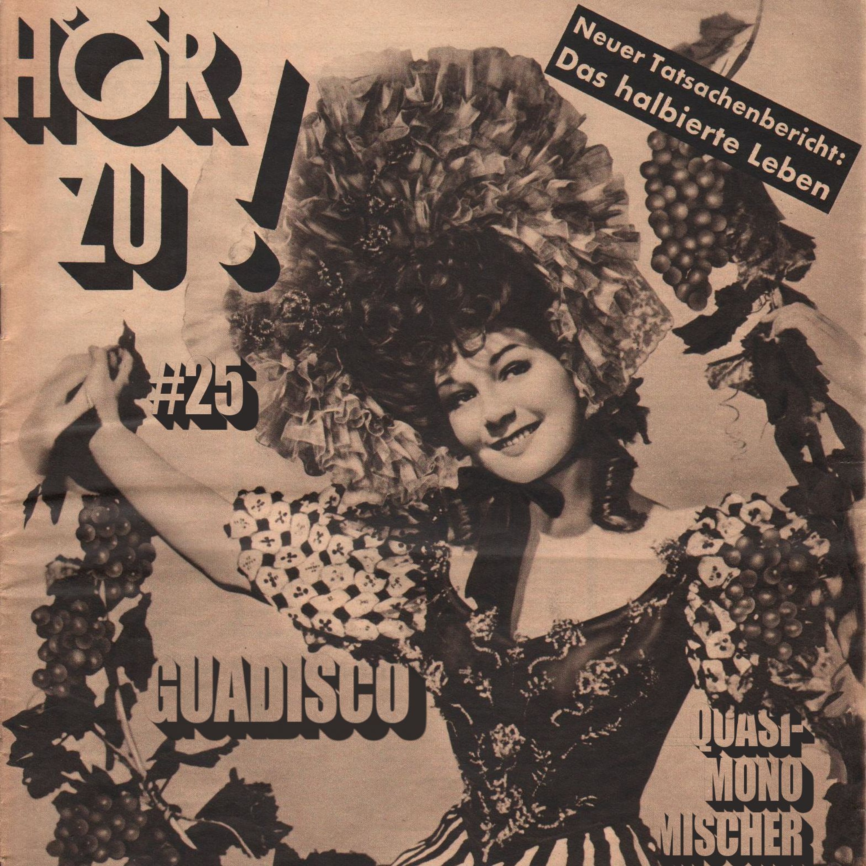 HörZu #25 *halbiertesSet* mit Quasi-Monomischer & Guadisco 19.11.2024 episode artwork