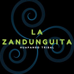 La Zandunguita (Huapango Tribal 2022) - DJ VNDRL