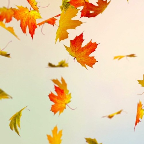 Autumn Melody 2.0