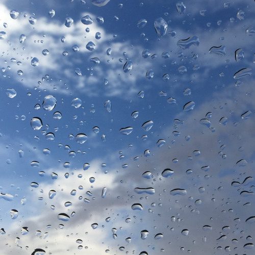 قطرات المطر