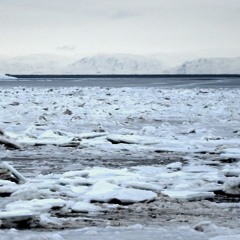 Frobisher Bay - a cappella cover