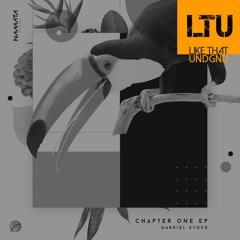 Premiere: Gabriel Evoke - Chapter One (Original Mix) | Namata