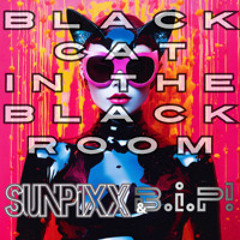 BiP!, SUNPiXX - BC In The BR  (Single, Official Audio, Short Edit)