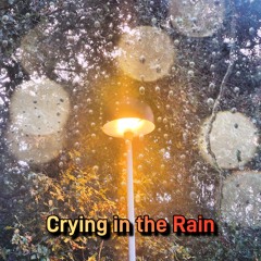 Crying in the Rain