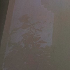 can't give u my love [Prod. vaegud]