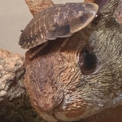 Absolutely Yacht (Instrumental)