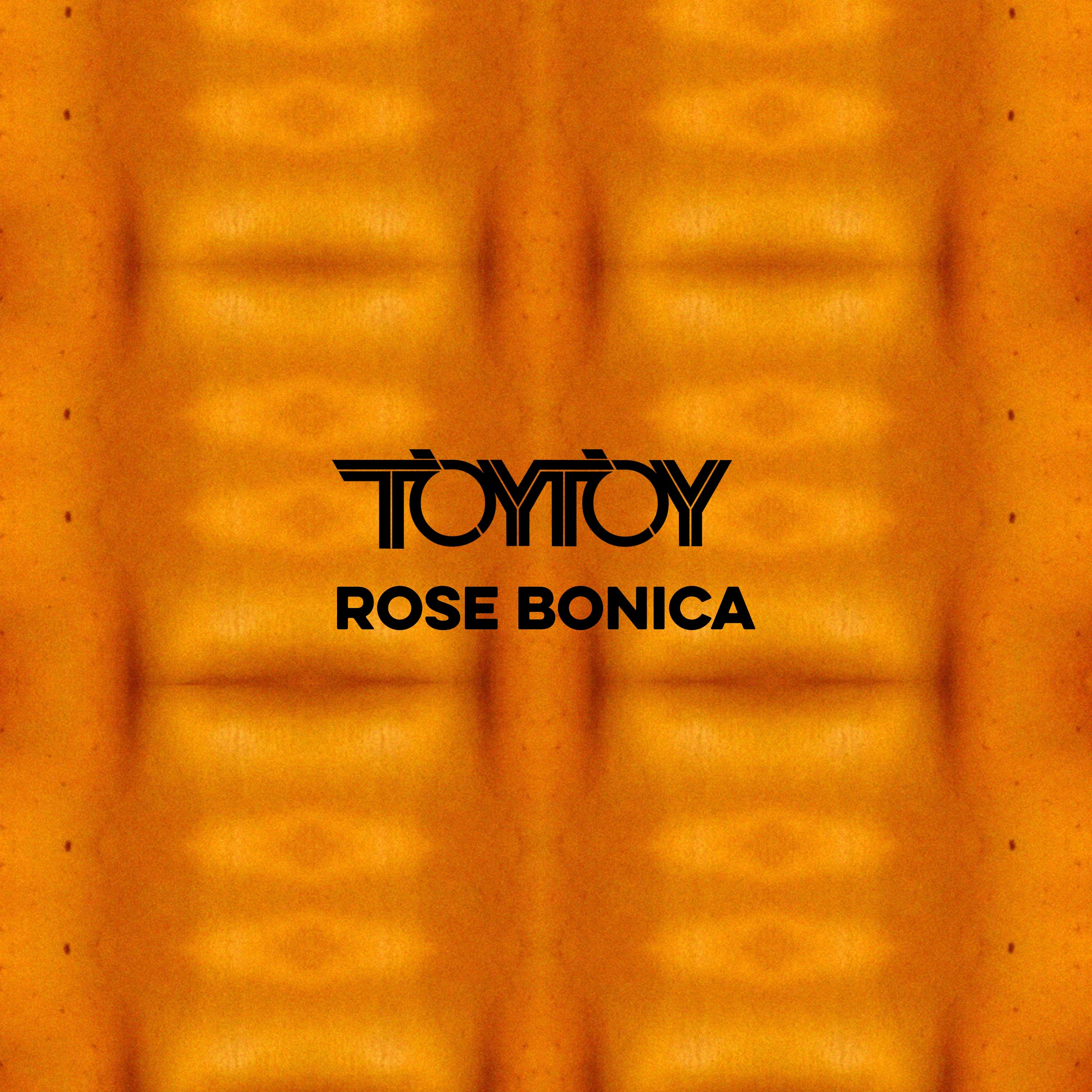 TOYTOY
