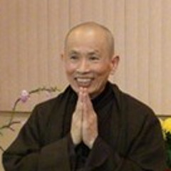 2021-01-31 Dharma Talk on Pavarana by Ven. Phuoc Tinh in Viet - ENG Translation