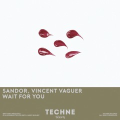 Sandor & Vincent Vaguer - Wait For You (Original Mix) (Techne)