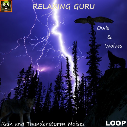Rain and Thunderstorm Noises with Sounds of Owls and Wolves for Sleep, Study, Relax - LOOP