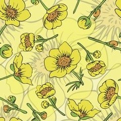 Buttercups
