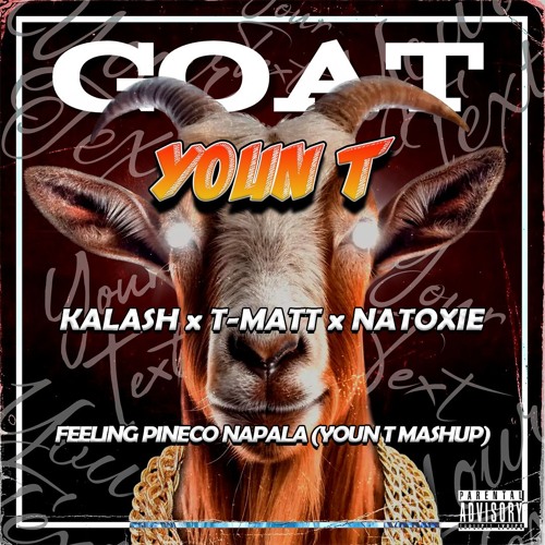 Kalash X T-Matt X Natoxie - Feeling Pineco Napala (Youn T Mashup)