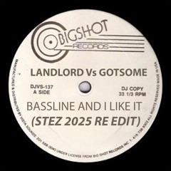 Bassline And I Like It (Stez 2025 Re Edit)