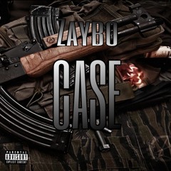 Zaybo - Case
