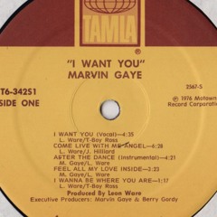 Marvin Gaye - I Want You (Tony Stephenson Edit)