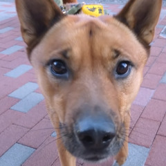 うんちみたいな気持ち