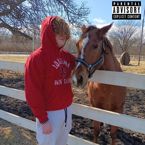 Horseback Riding