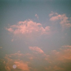 Private Collection Vol IV