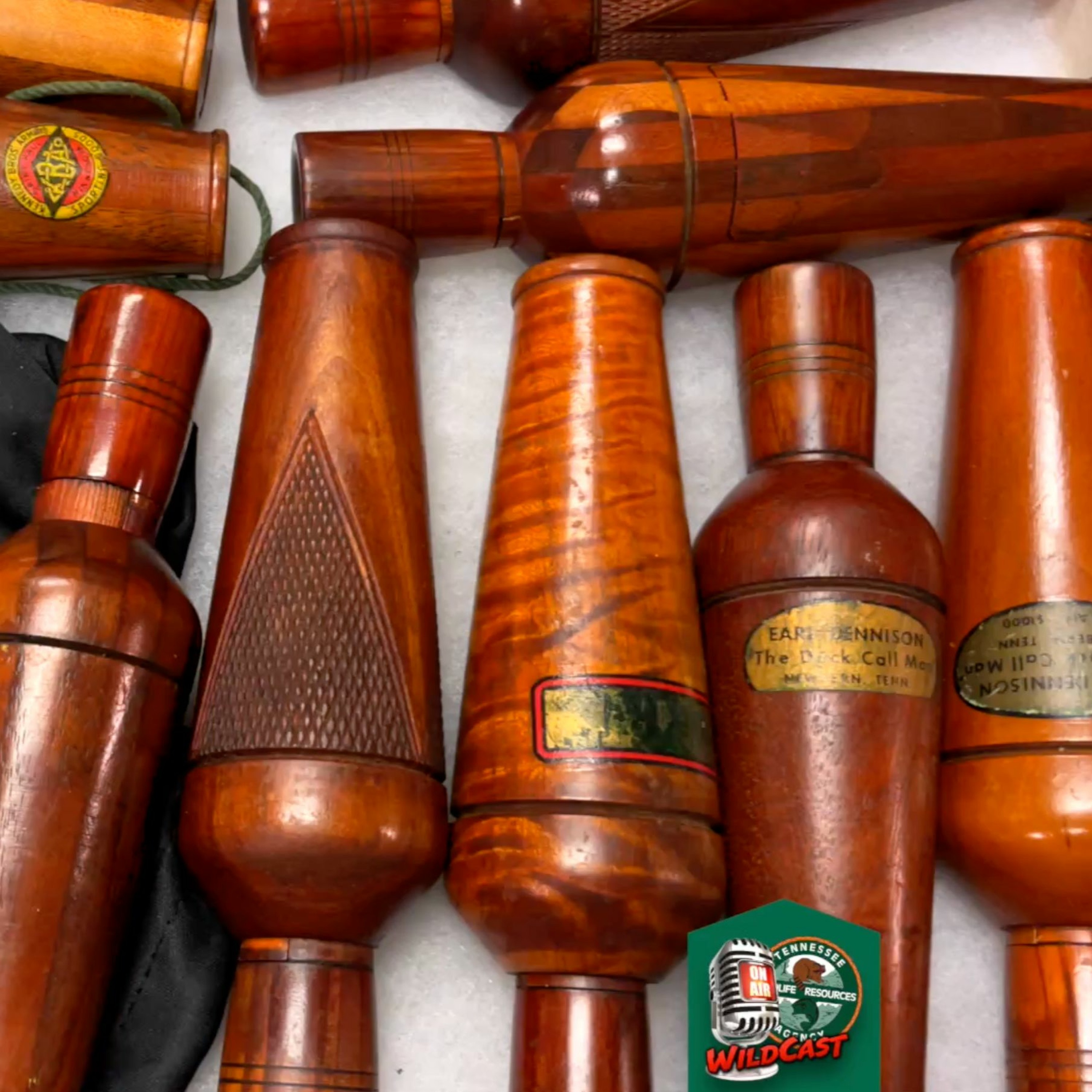 TW 351 - Vintage Duck Call Nostalgia