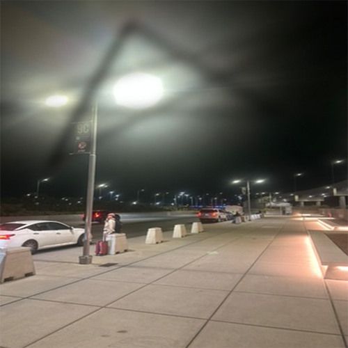 life with the leaves interlude