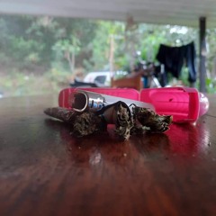 Gazo - DIE (Dj Nasty Remix) 2022