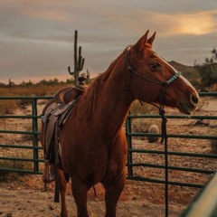 eastern cape roadtrip