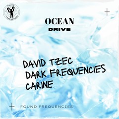 David Tzec & Dark Frequencies - Ocean Drive (feat. CARINE)