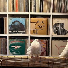 Merzbow 200225