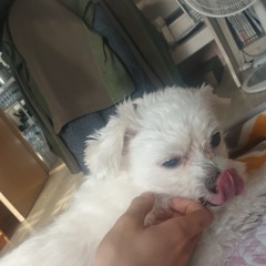 피아노맨 - 사랑한다는 말로는 | cover by 설빈(SEOL BEEN)