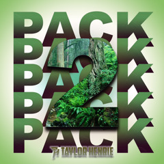 PACK 2 TAYLOR HENRIE