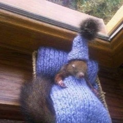 Ironía Cris.A Ft R'Oses, Niqo (Prod R'Oses)