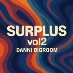 DanniBigRoom - Surplus vol2 2025