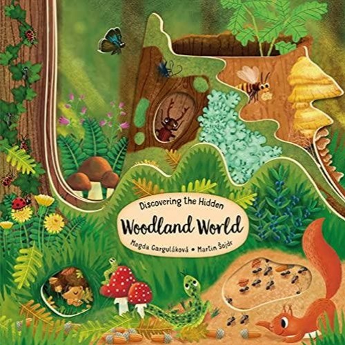 ebook Discovering the Hidden Woodland World (Happy Fox Books) Board Book for Kids