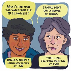 What's the main takeaway from the MC12 process?